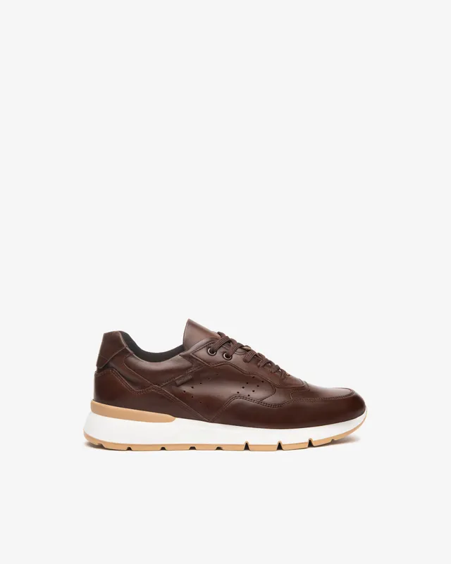 NeroGiardini Sneakers Homme Cuir DryGo Ville