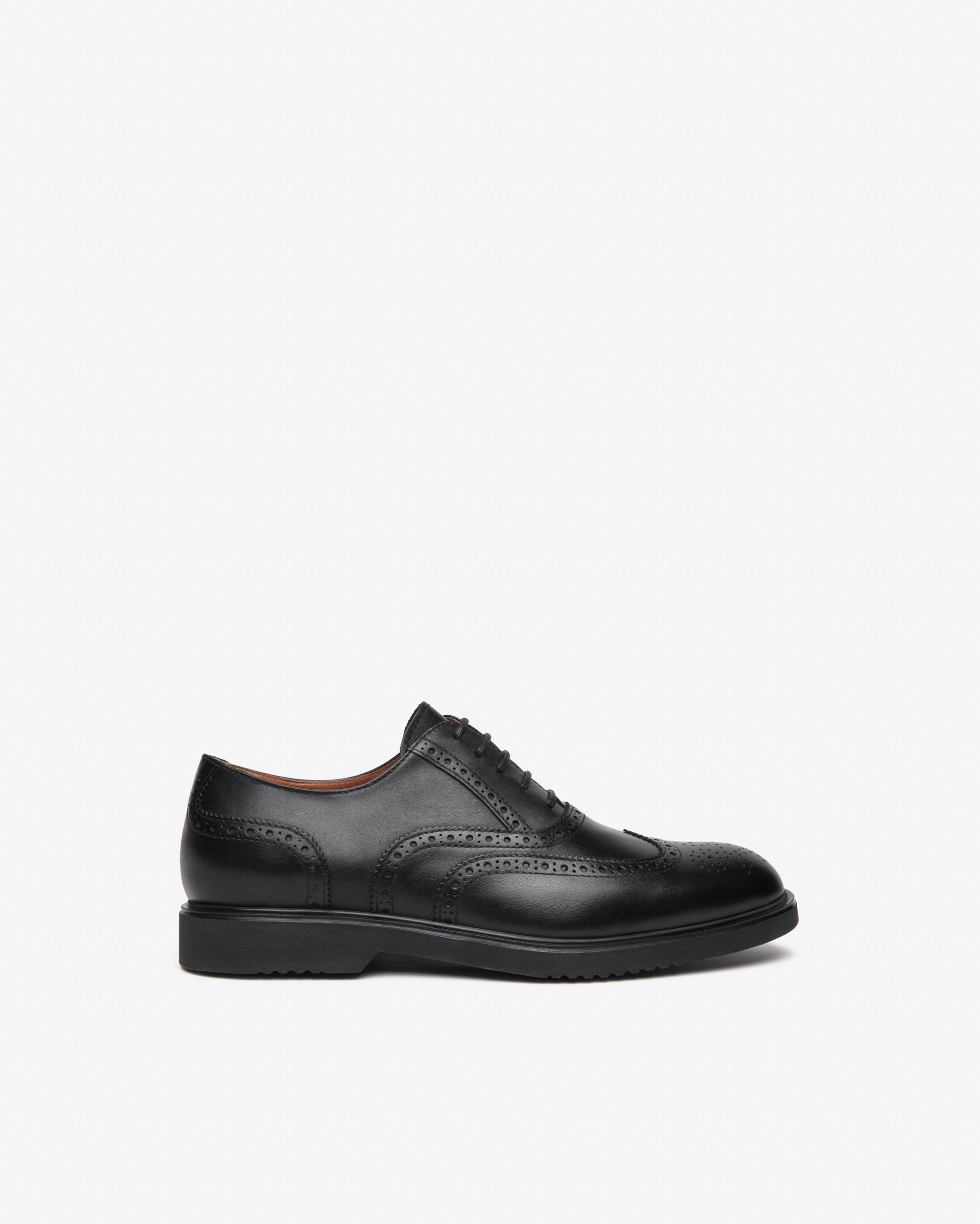 NeroGiardini Richelieu Homme Cuir oxford brogue