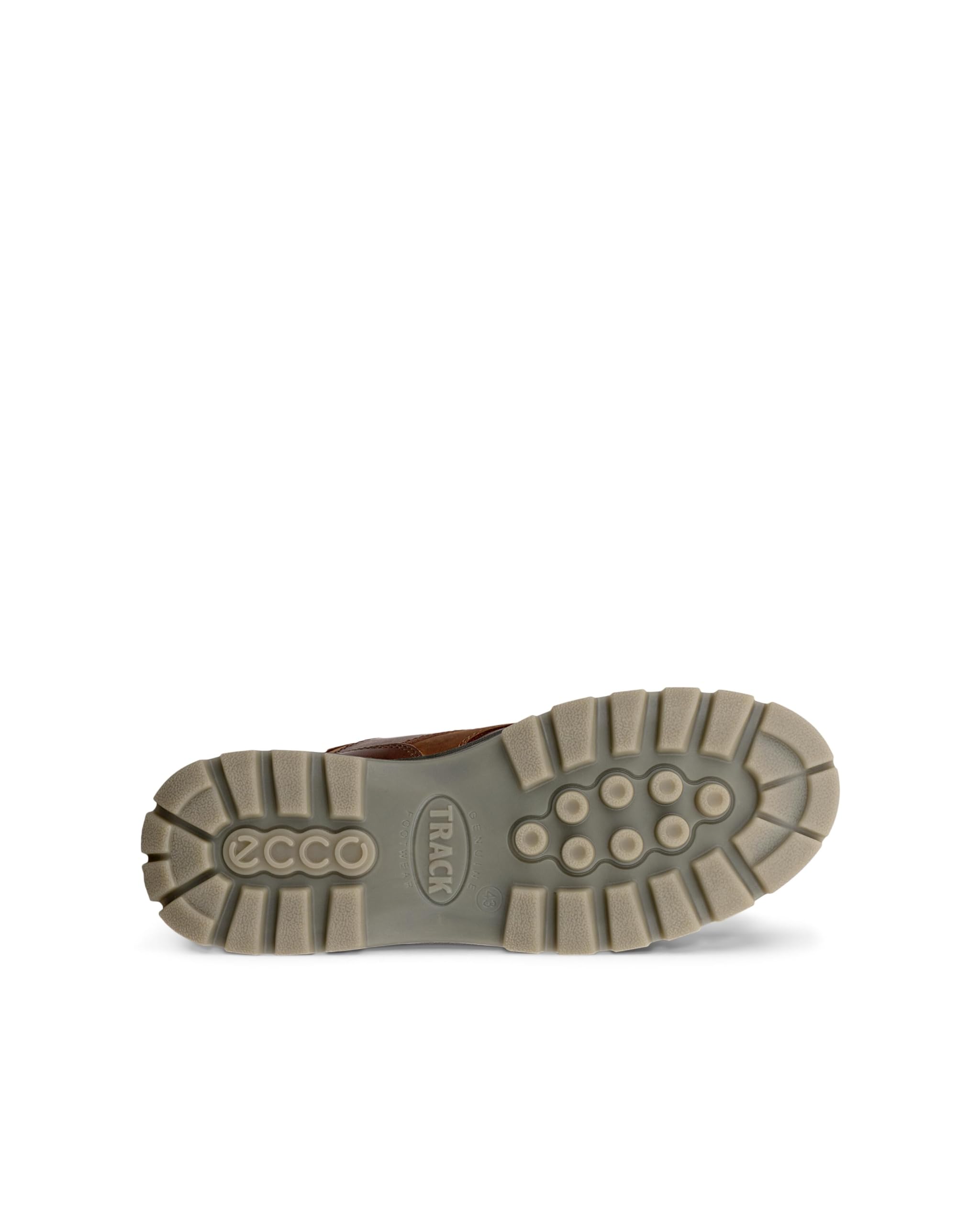 ECCO TRACK 25 bottes homme 44 EU bison Gore-Tex