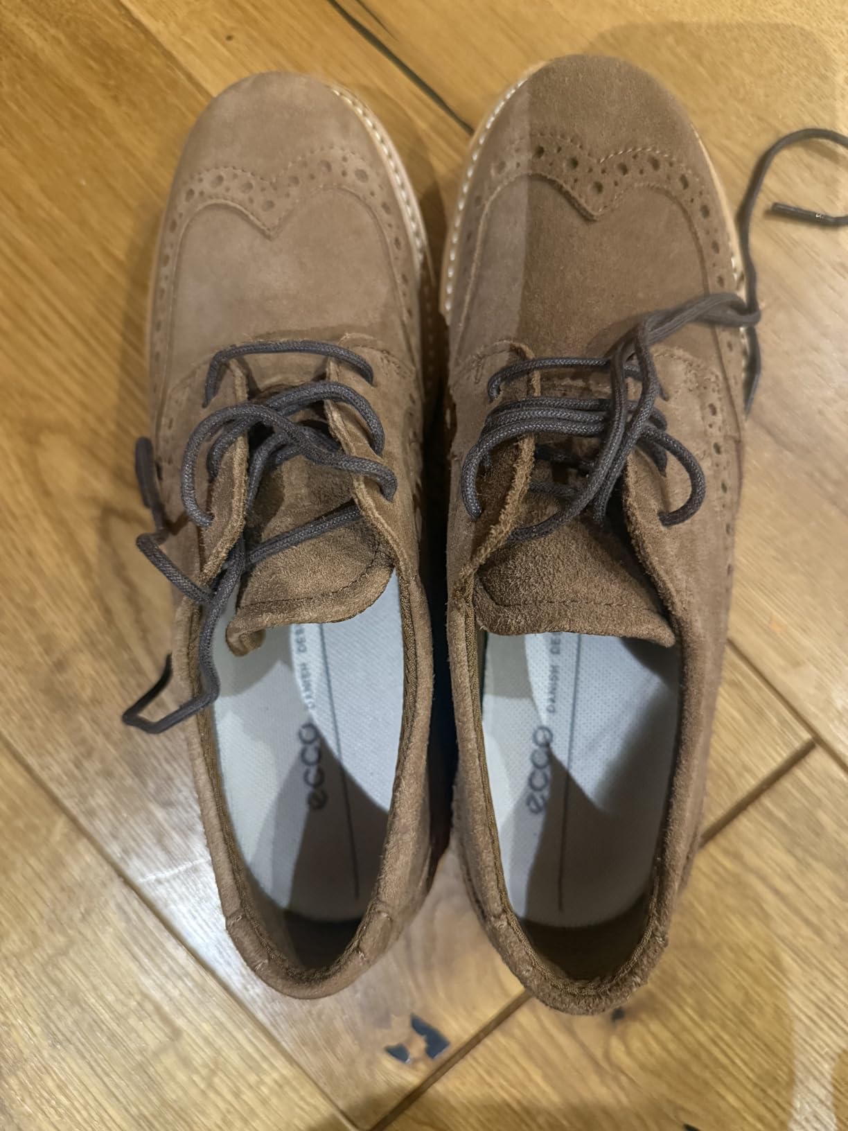 Ecco Elaina Derby Oxford Femme Noir Cuir Plat