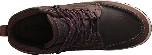 ECCO Track 25 Chaussure Outdoor Femme Marron 37