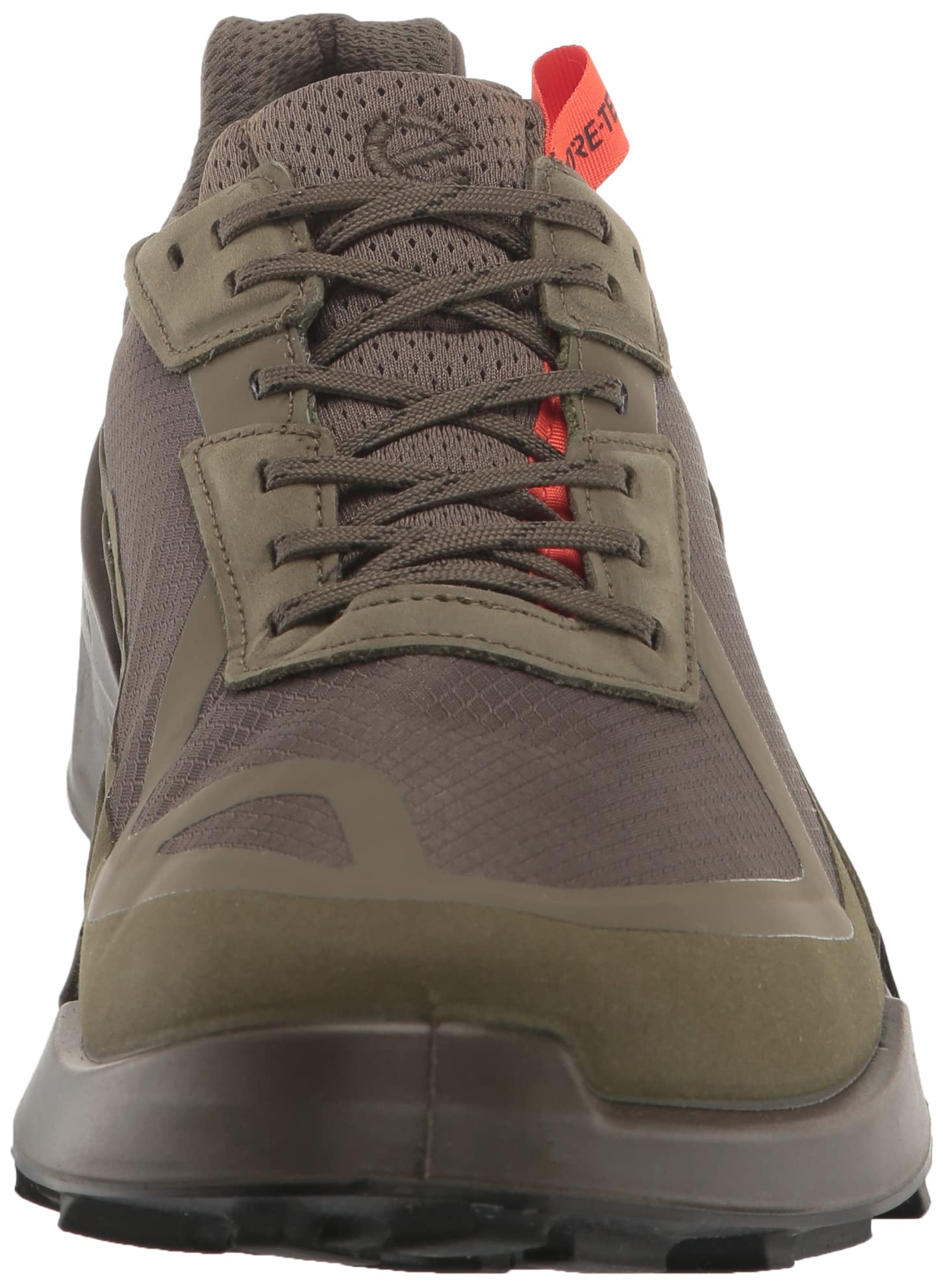 ECCO Biom 2.1 chaussure trail homme Tarmac Grape Leaf