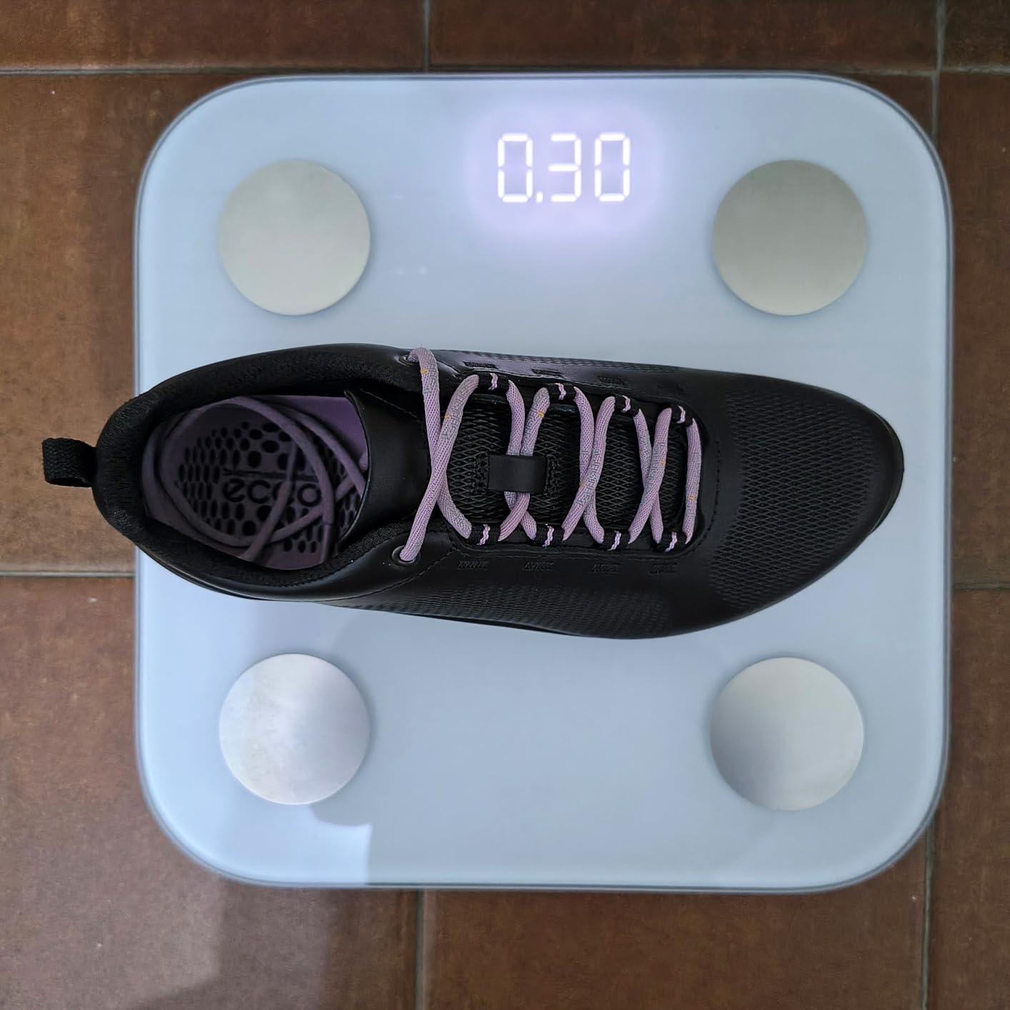 ECCO Biom Fjuel W basket marche marine confort