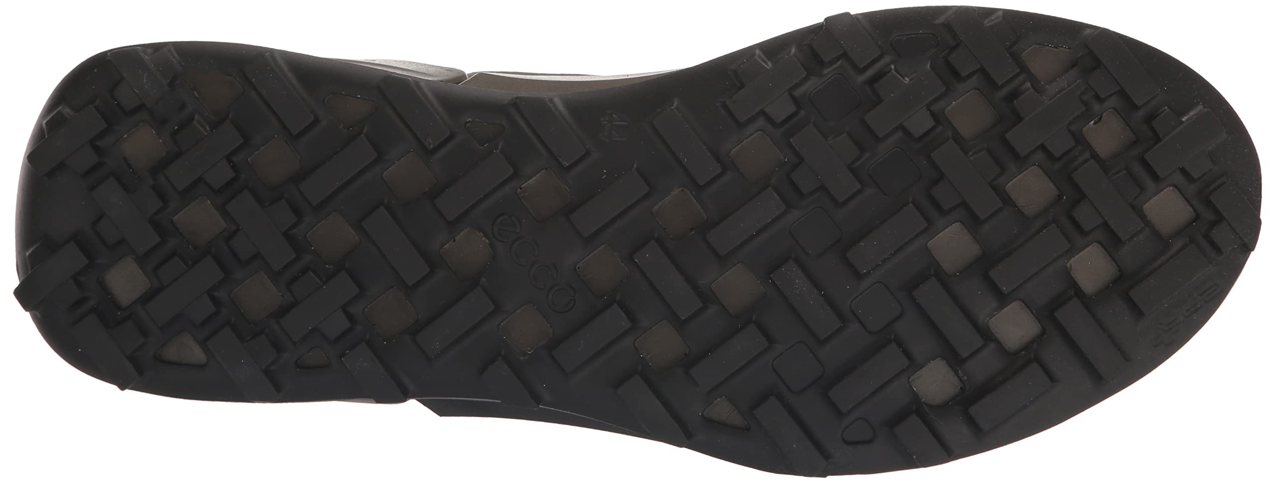 ECCO Biom 2.1 chaussure trail homme Tarmac Grape Leaf