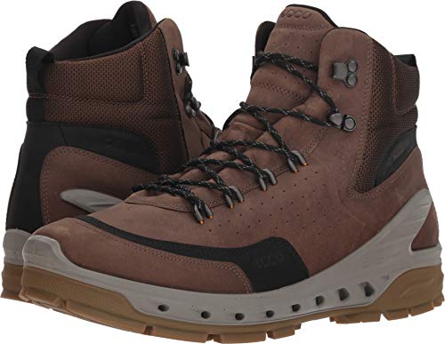 ECCO Biom Venture TR chaussures rando homme 41 EU Gore-Tex